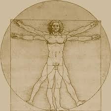The Vitruvian Man Da Vinci